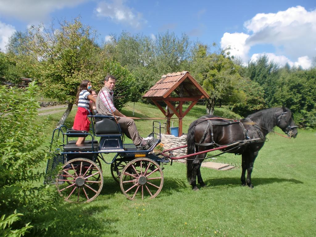 Pensiunea Arpasel Arpaşu de Sus Buitenkant foto