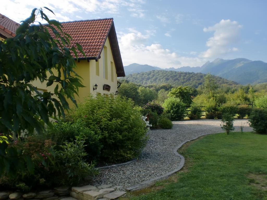 Pensiunea Arpasel Arpaşu de Sus Buitenkant foto