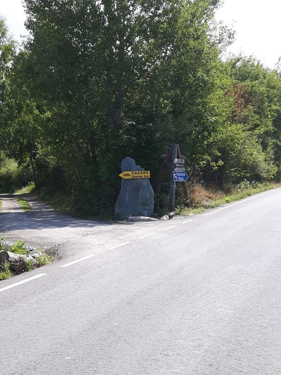 Pensiunea Arpasel Arpaşu de Sus Buitenkant foto